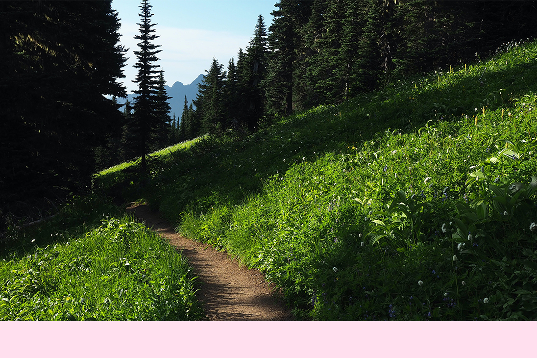 dirt trail through grass field and woods | Just Another Mary