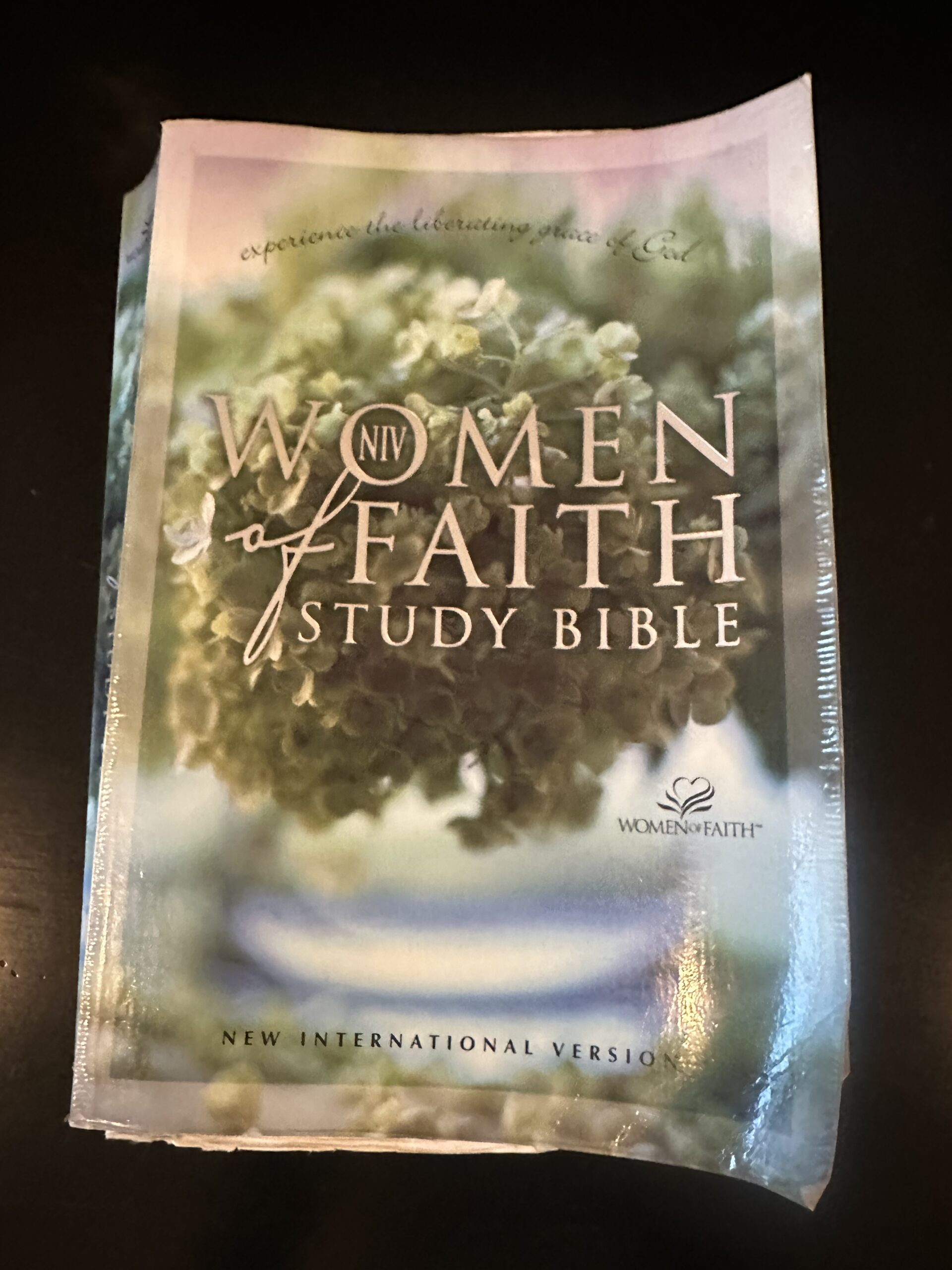 Book cover of Women of Faith Study Bible | Mary Cary