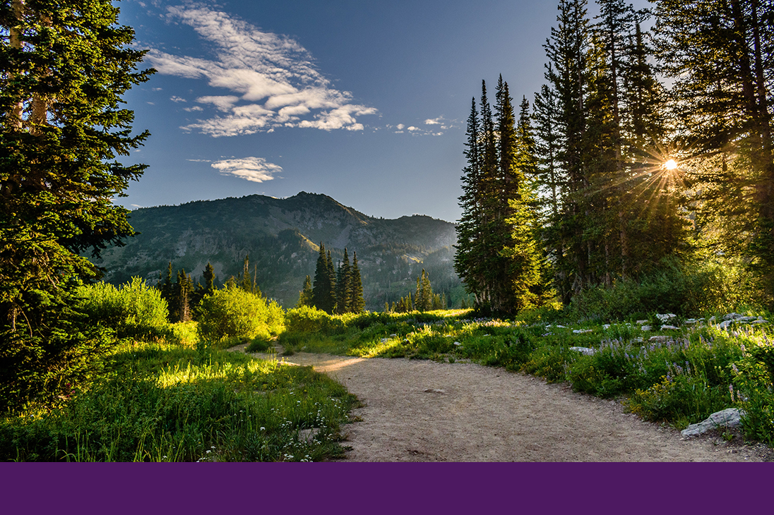 Gravel trail winding through forest meadow | Just Another Mary