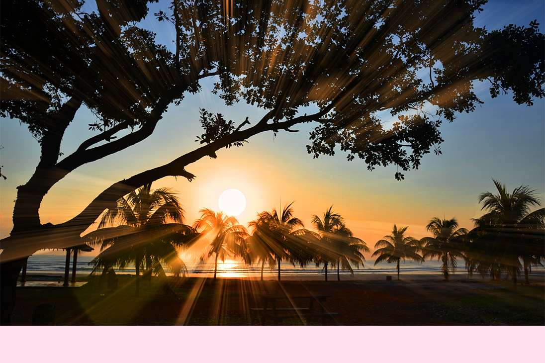 Palm trees and beach at early sunset | Just Another Mary